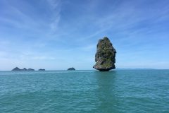 IMG_0430-scaled